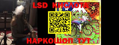 прущие грибы Пушкино